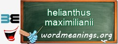 WordMeaning blackboard for helianthus maximilianii